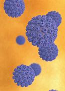 Image result for Human Papillomavirus Infection Bumps