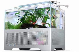 Image result for Fish Tank PC Case