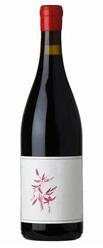 Image result for Arnot Roberts Pinot Noir Peter Martin Ray
