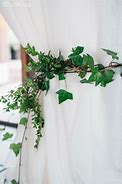Image result for Draping Vines