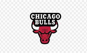 Image result for Chicago Bulls New Logo