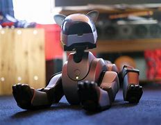 Image result for Sony Aibo ERS-1000