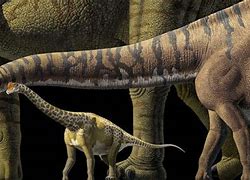 Image result for Biggest Dinosaur Size