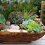 Image result for Succulent Container Garden Ideas