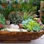 Image result for Succulent Container Garden Ideas