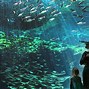 Image result for Sasebo Tourist Attractions