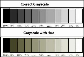 Image result for Color Calibration Gray Scale