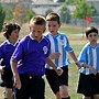 Image result for Natomas Soccer