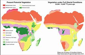 Image result for africa vegetation zones