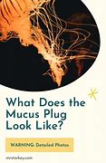 Image result for Mucus Plug in Toilet
