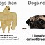 Image result for Dog Owner Meme