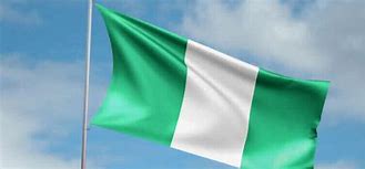 Image result for Zastava Nigerije