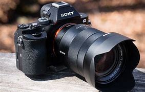 Image result for Sony Digital SLR Camera