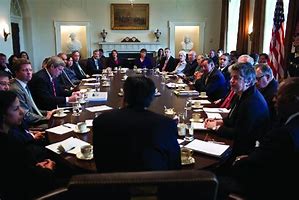 Image result for United States Presidential Cabinet