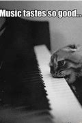 Image result for Piano Recital Memes