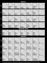 Image result for Insanity Workout Chart