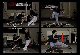 Image result for Drunken Kung Fu Techniques