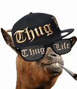Image result for Thug Life Images