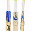 Image result for Cricket Bat Evolution