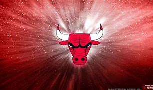 Image result for Chicago Bulls Design