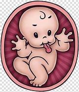 Image result for Pregnancy Baby Cartoon