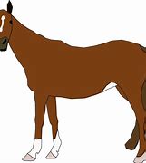 Image result for Horse Face Clip Art