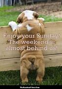 Image result for Happy Sunday Funny Meme