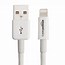 Image result for USB Lightning Cable Adapter