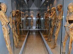 Image result for Baby Screaming Mummies of Guanajuato