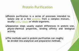 Image result for Protein Separation