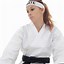 Image result for Stock Woman Karate Martial Arts
