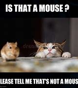 Image result for Cat vs Mouse Meme