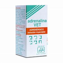 Image result for adremalina