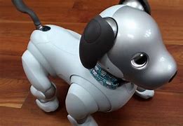 Image result for Aibo Ers 100