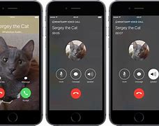 Image result for Call ScreenShot