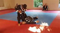 Image result for MMA Martial Arts