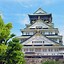 Image result for Things to Do in Osaka Island