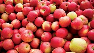 Image result for Apple without Brown