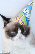 Image result for Grumpy Cat Birthday