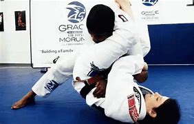 Image result for Jiu Jitsu Fighting