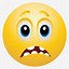 Image result for Emoticons Smiley Faces Scared Emoji