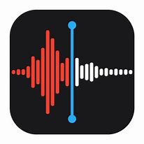 Image result for iPad Voice Memo