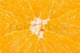 Image result for Macro Photography Orange