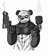 Image result for Panda Gun