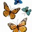 Image result for Realistic Butterfly