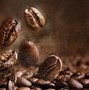 Image result for What Is the Most Expensive Coffee in the World Animal