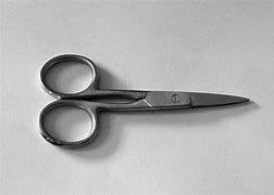 Image result for Silver Scissors