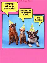 Image result for happy birthday fun cards