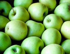 Image result for Apple Plus Bhayandar