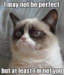 Image result for Grumpy Cat Funny Jokes